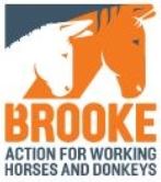 The Brooke Logo