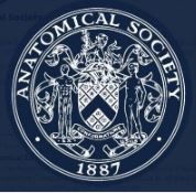 Anatomical Society of Great Britain Logo