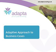 Adaptive Approach to Business Cases