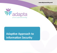 Adaptive Approach to Information Security